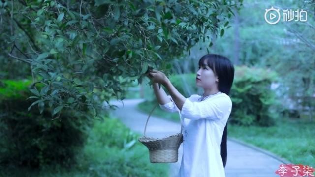 看了李子柒的后院, 終于明白為什么1000萬設計師羨慕她的生活了 看了李子柒的后院, 終于明白為什么1000萬設計師羨慕她的生活了
